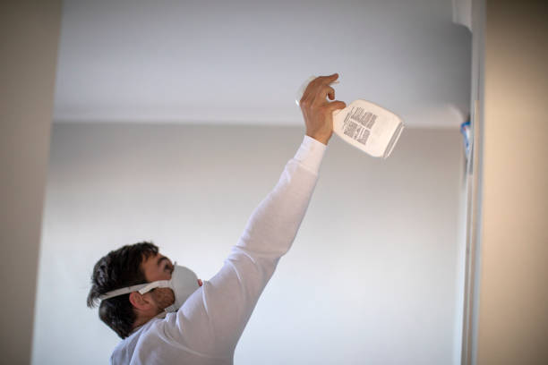 Best Same-Day Mold Removal  in Arnaudville, LA