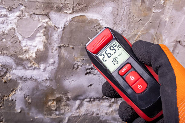 Best Mold Testing and Removal  in Arnaudville, LA