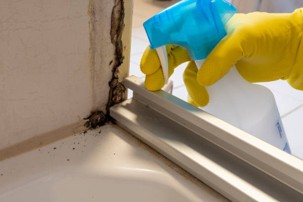 Best Crawl Space Mold Removal  in Arnaudville, LA