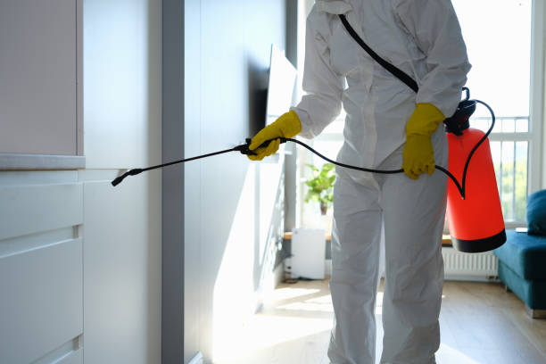 Office Mold Removal Services in Arnaudville, LA