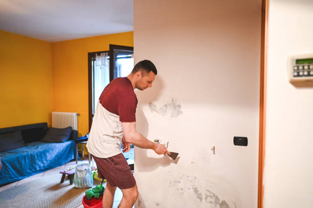 Trusted Arnaudville, LA Mold Removal Experts