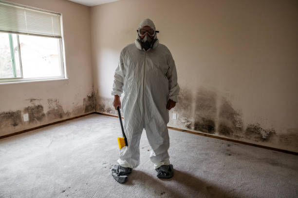 Best Attic Mold Removal  in Arnaudville, LA